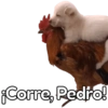 🤣Memes Del Momento🔝 24