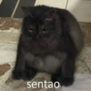 sentao
