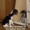 no entiendo el contexto de
este capítulo en mi vida