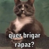 SEQUÊNCIA DE MEMES 😜 15