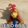 MEMES JOÃO FRANGO 17