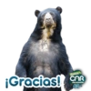 SOMOS CAR DE CORAZÓN 💚 14