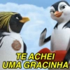 MEMES JOÃO FRANGO 13