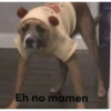 Peyitos Memes🐶🤩😎 15