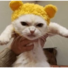 Miau miau caralho 4 19