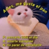 Asies, me gusta el pan
Notitas para tu relación
@Notitas4mood en Instagram
P: pensarte todo el dia
A: amarte siempree
N: no parar de extrañarte.