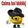 Reagindo com ironia 13