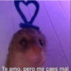 Te amo, pero me caes mal