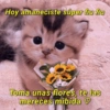 Hoy amaneciste súper flu flu
Toma unas flores, te las
mereces mibida ♡