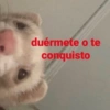 Animalitos Para Conversar 🦄🐸 6