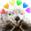MASCOTAS AMOROSAS 💕💓 8