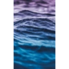 Los fondos de pantalla 19