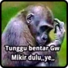 Indonesian 9