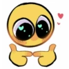 Owo 13