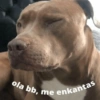 Shitpost pal chat 📱✨ 9