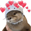MASCOTAS AMOROSAS 💕💓 5