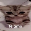 te amo