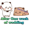 @cute.love.friendship
After One week
of wedding