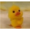Bebek 29