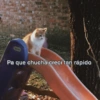 Shitpost Random😎😉4 8