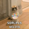 Cumpleaños Feli :D🥳 5