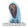 que emoción