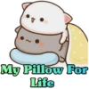 My Pillow For
Life
