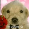 te quiero <3
