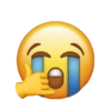 EMOJIS 12