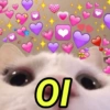 PARA CASAIS 12