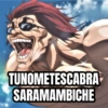 6 TUNOMETESCABRA SARAMAMBICHE