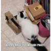 Browns
GATAU AKU COSPLAY JADI PAKET