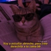 W
Finalist
MPLANT
IG.@guf g
Voy a estudiar derecho, para irme
derechito a tu cama bb