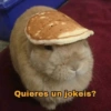 🤪👌Shitposting Random 😎🤟3 13