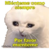 Perritos con canciones Sad 9