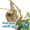 SOMOS CAR DE CORAZÓN 💚 13