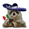 Mapaches Vaqueros 8