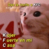 Oye te invito a KFC
By @Cats4mood en Instagram
Kojer
Fuerte en mi
C asa