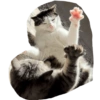 Monkeycatluna 23