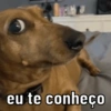 eu te conheço