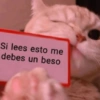 Si lees esto me
debes un beso