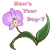 YWD Stickers 2021 17