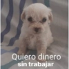 Quiero dinero
sin trabajar