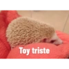 Toy triste