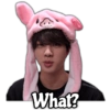 What?
@rose.stickers