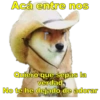 Perritos con canciones Sad 15