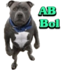 AB
Bol