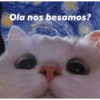 Memes de pelos  13