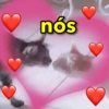 NOVOS MEMES AQUI! 9
