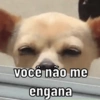 você não me
engana